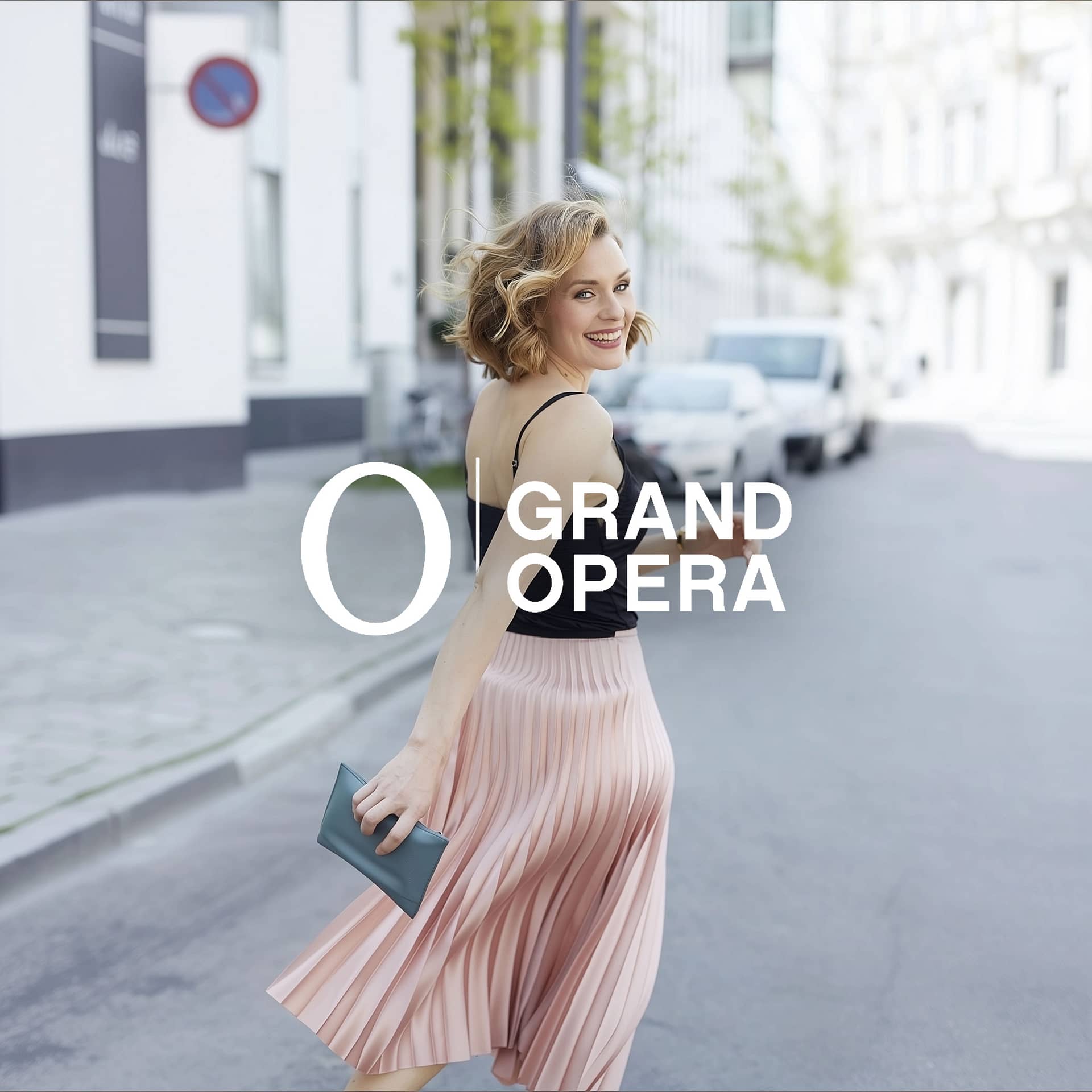 <b>Projet :</b> grand opera <br><b> Client :</b> assembly